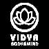 Academia Vidya