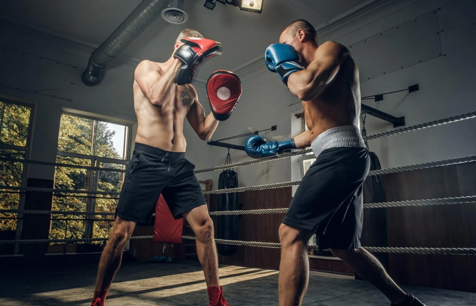 Dos hombres practicando box en el ring de un gym Dos hombres boxeando en un ring y aprovechando una de las actividades que TotalPass les ofrece. Alrededor se ven dos ventanas y dos costales de box.