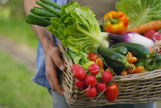 Cores dos alimentos: o que querem nos dizer?