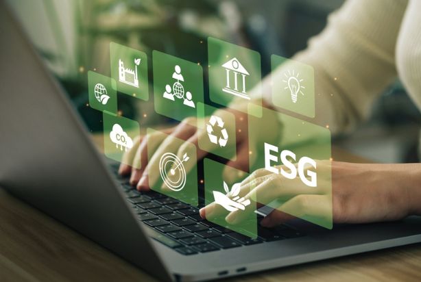 ESG: o que é e a sua importância para a empresa