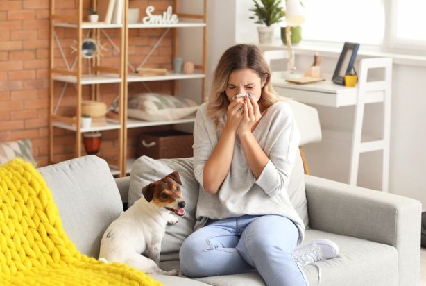 Tipos de alergia: conheça os principais e como tratar