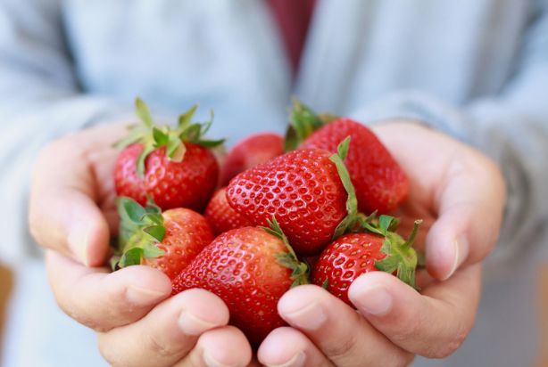 Benefícios do morango: quais são e como consumir?