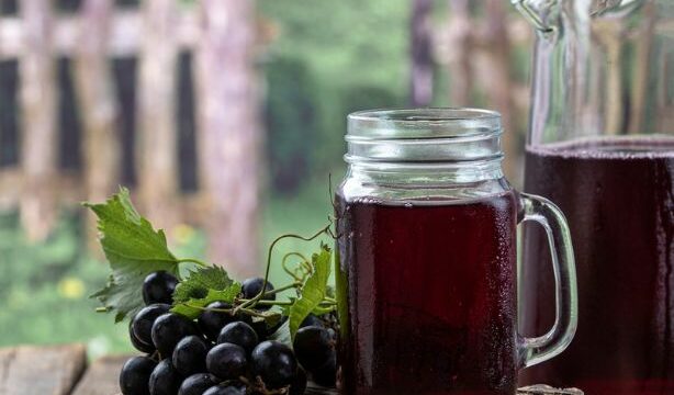 Suco de uva integral: seus benefícios e como consumir