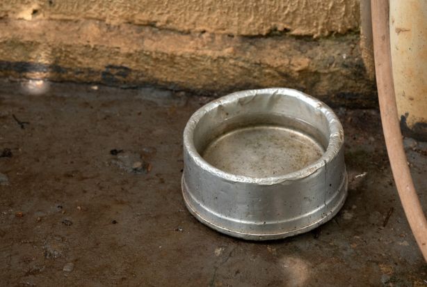 água parada