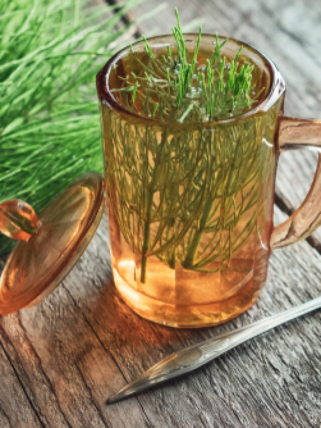 Chá de cavalinha: para que serve e como tomar?