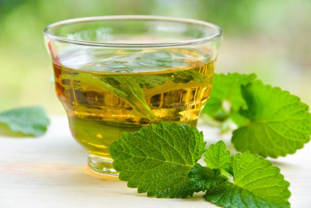 Chá de erva-cidreira: seus benefícios e como fazer