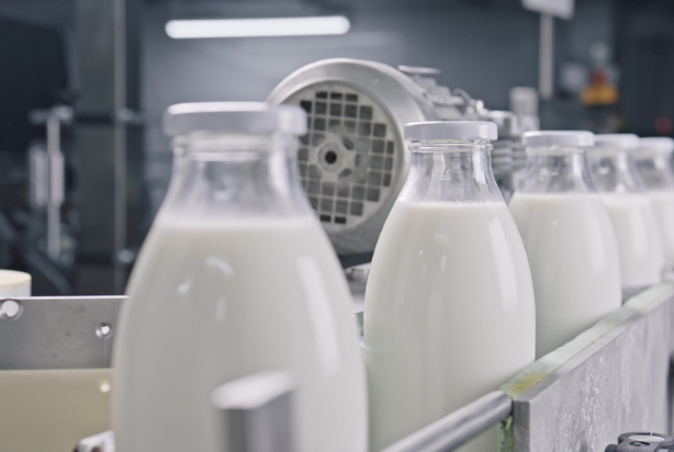 Leites como alimentos industrializados