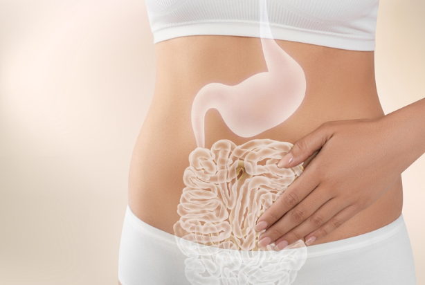 Microbiota intestinal: o que é e para que serve?