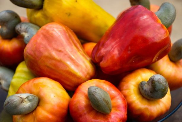 Suco de caju: aprenda a receita com essa fruta do Brasil